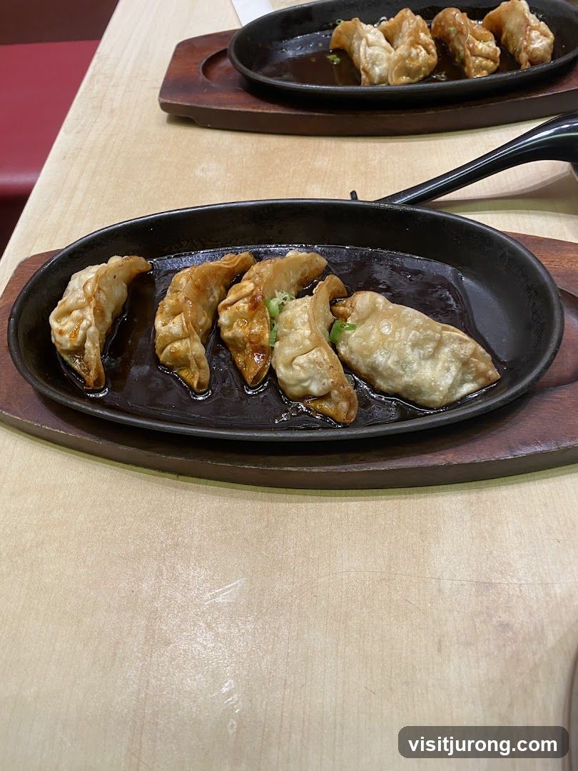 Pan-fried dumplings