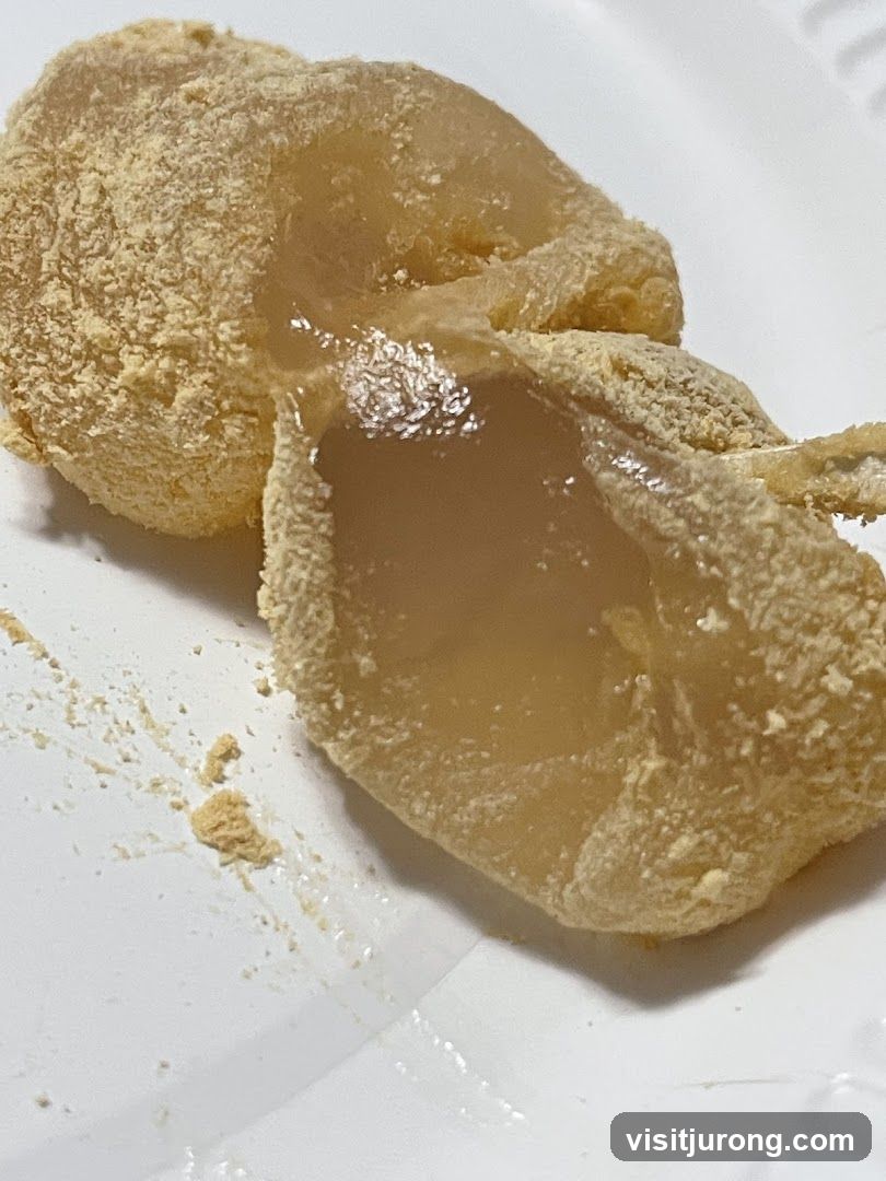 Mochi with Kinako