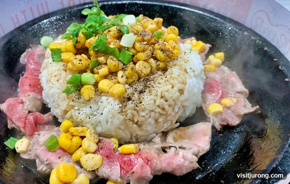 Sizzling Steak and Rice