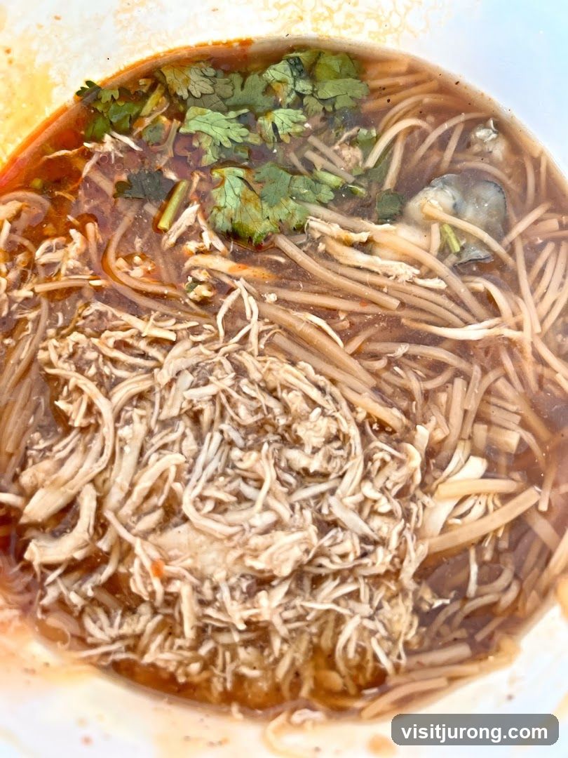 Shredded Chicken and Noodle Soup