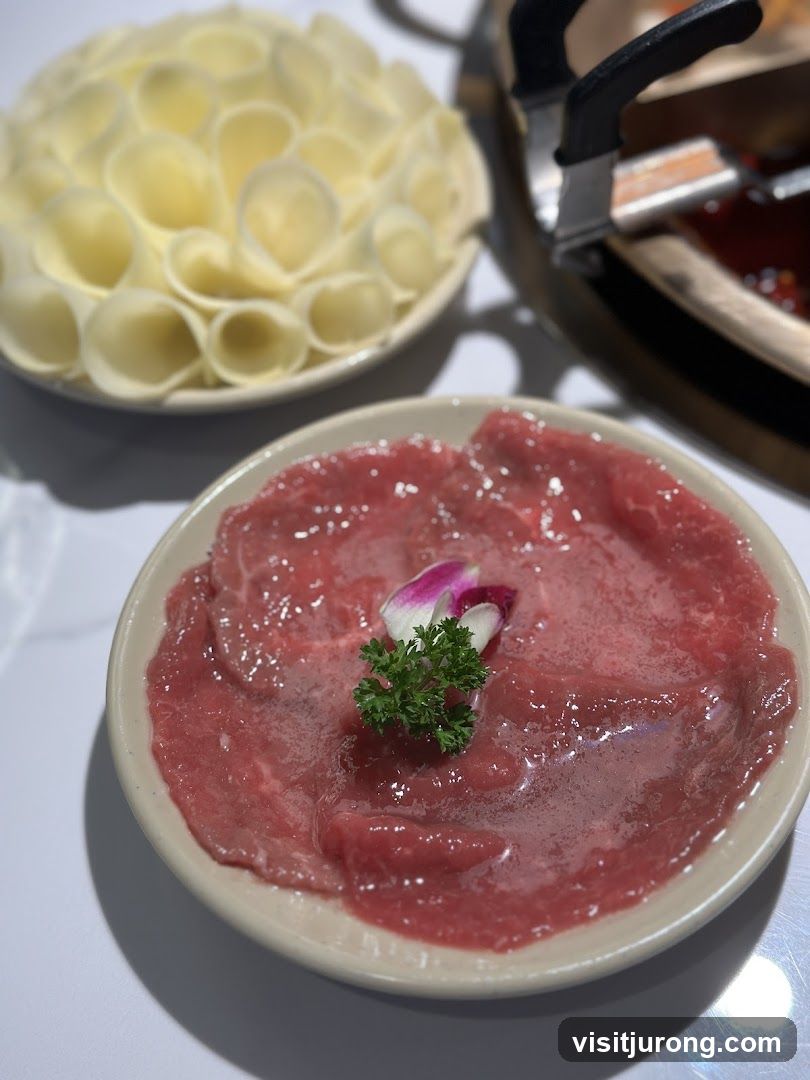 Thinly Sliced Beef and Tofu Skin