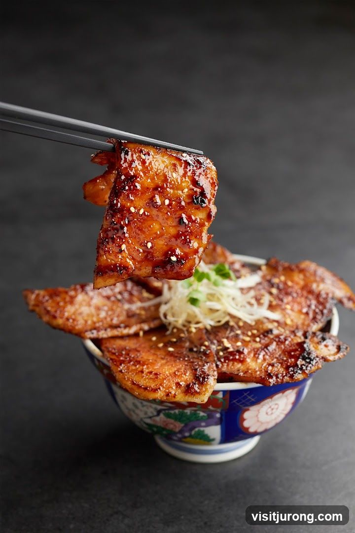 Pork Belly Donburi
