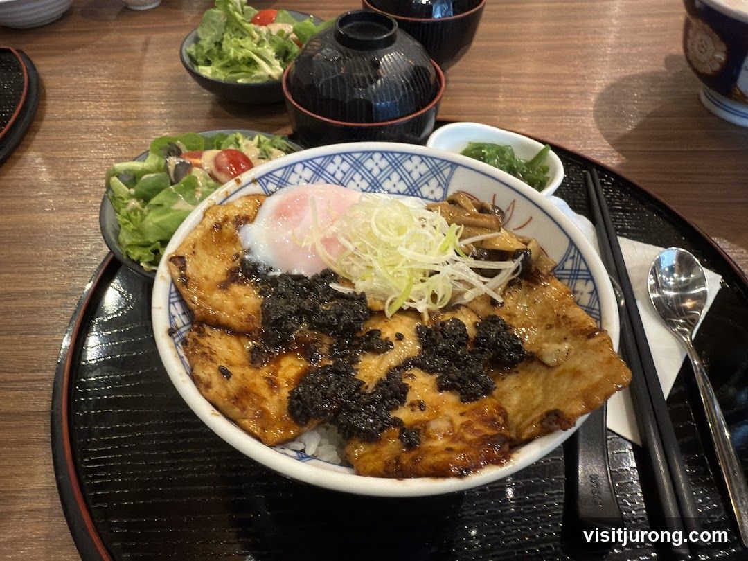 Pork Donburi with Salad