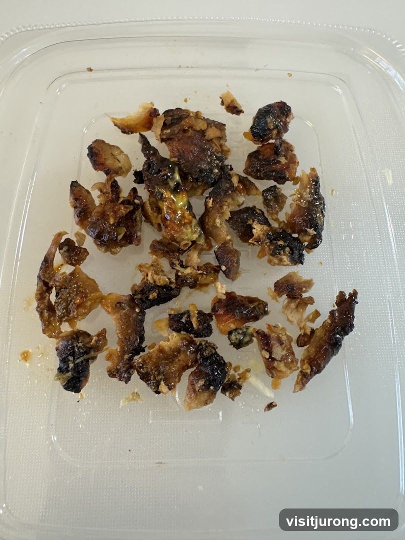 Burnt Food Scraps
