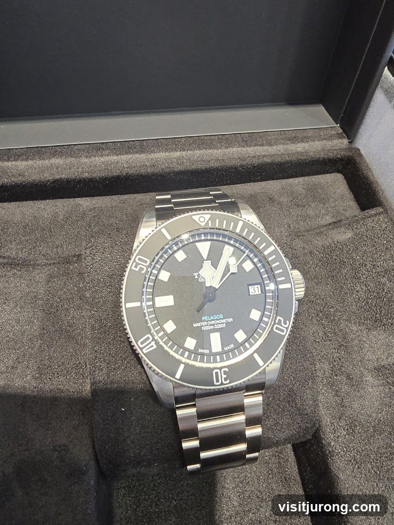 Tudor Pelagos Watch
