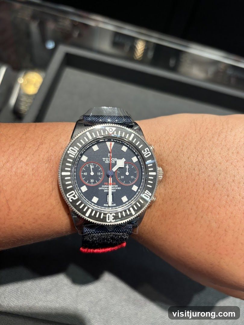 Tudor Watch on Wrist