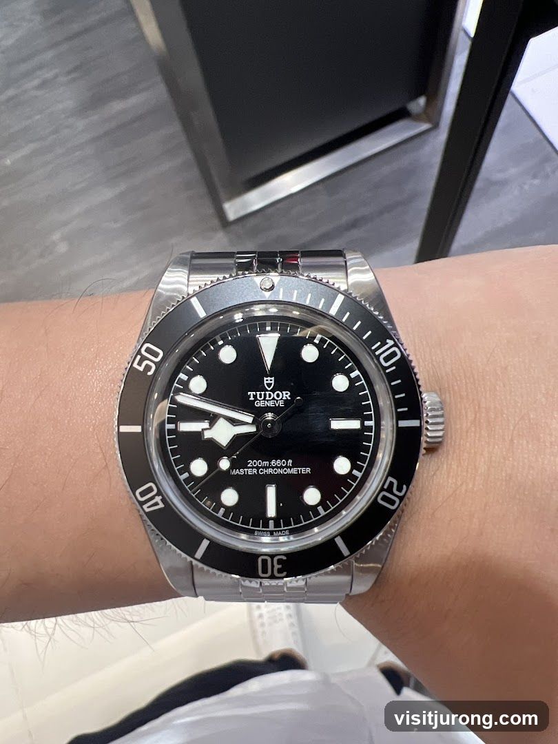 Tudor Watch