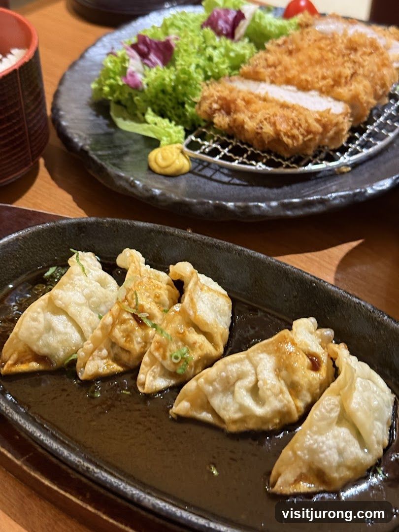 Fried Dumplings and Tonkatsu