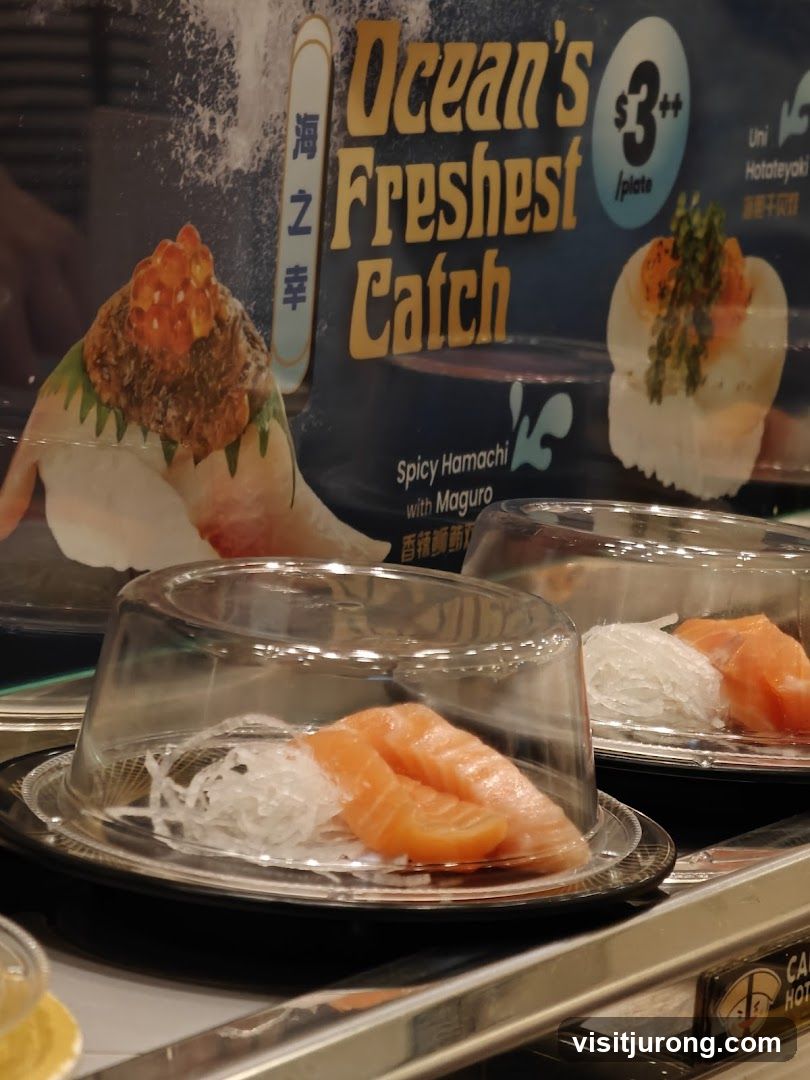 Sushi Conveyor Belt