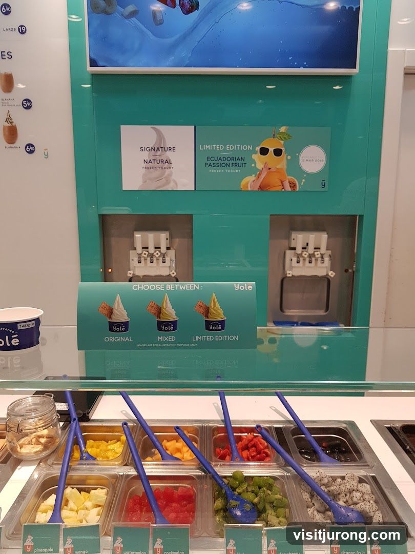 Frozen Yogurt Shop Display