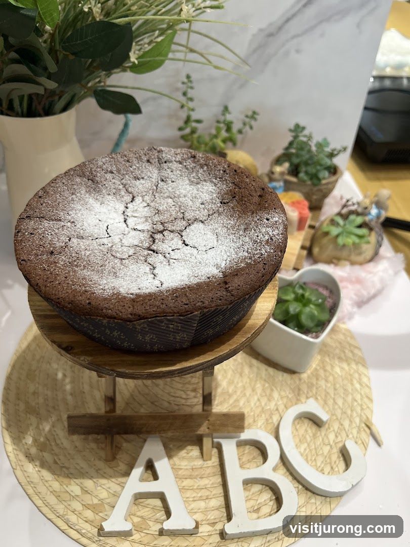 Chocolate Cake with Powdered Sugar