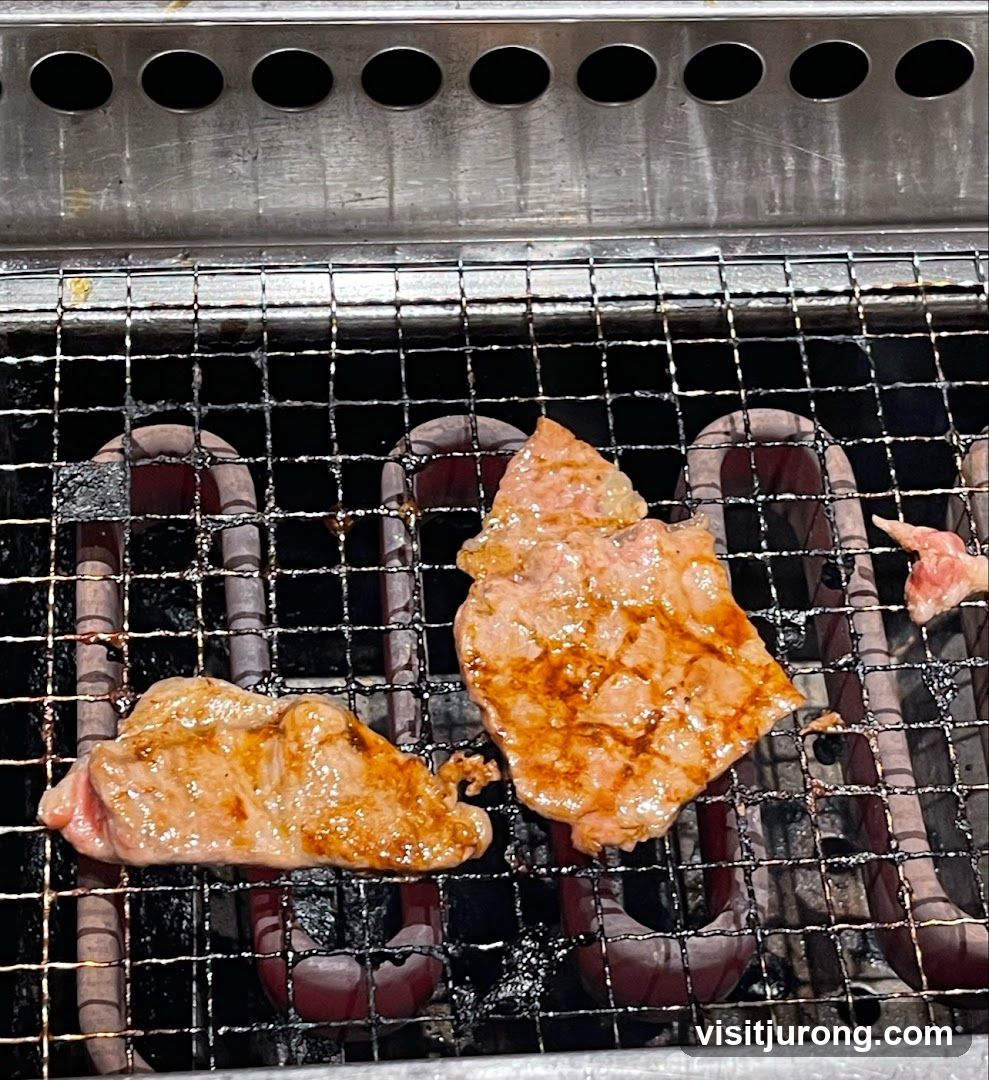 Grilled Meat