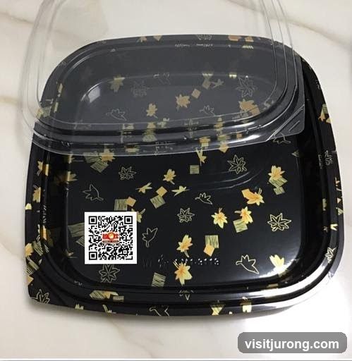 Disposable Food Container