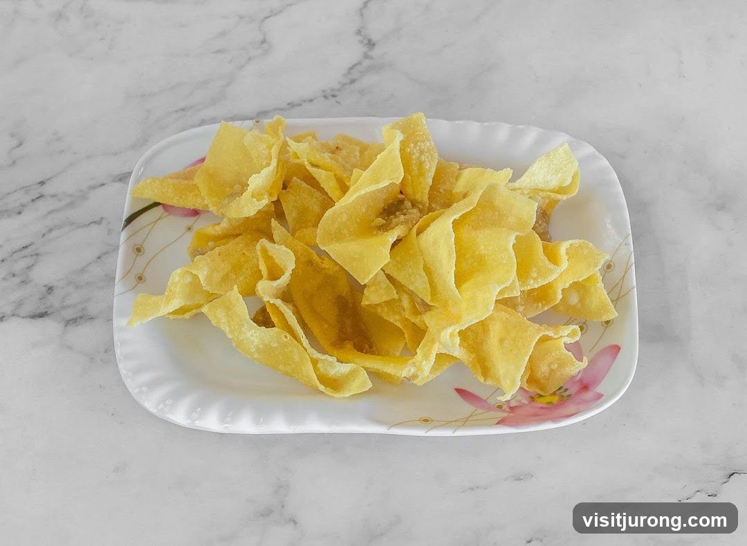 Fried Wonton Chips