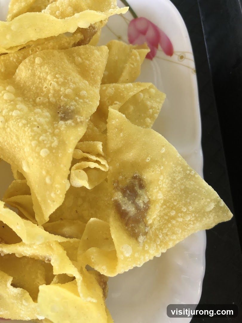 Fried Wontons