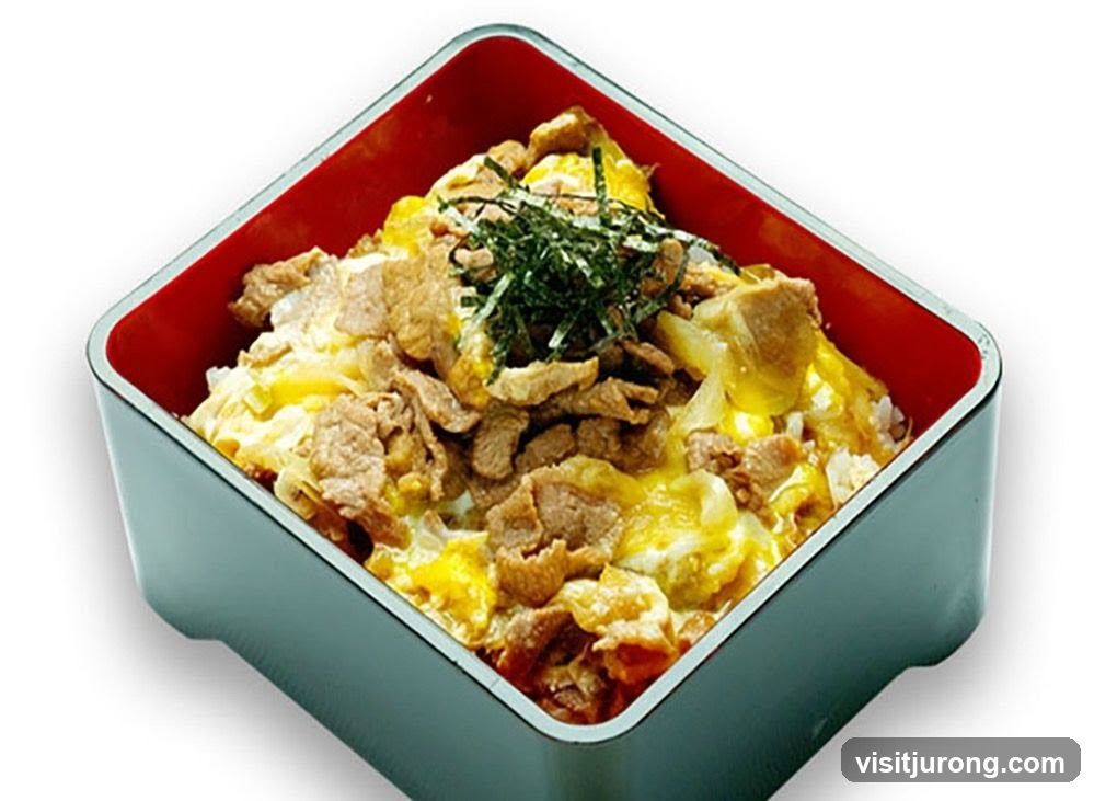 Beef and Egg Rice Bowl