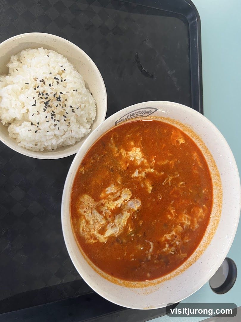 Spicy Soup and Rice