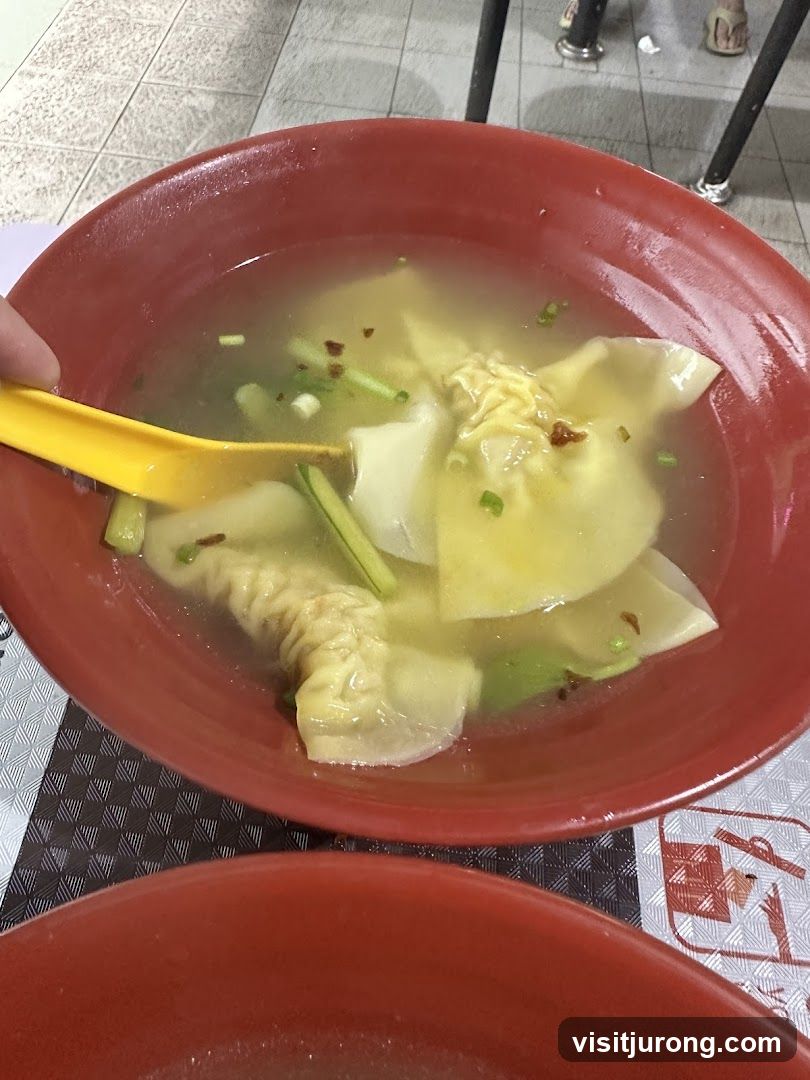 Wonton Soup