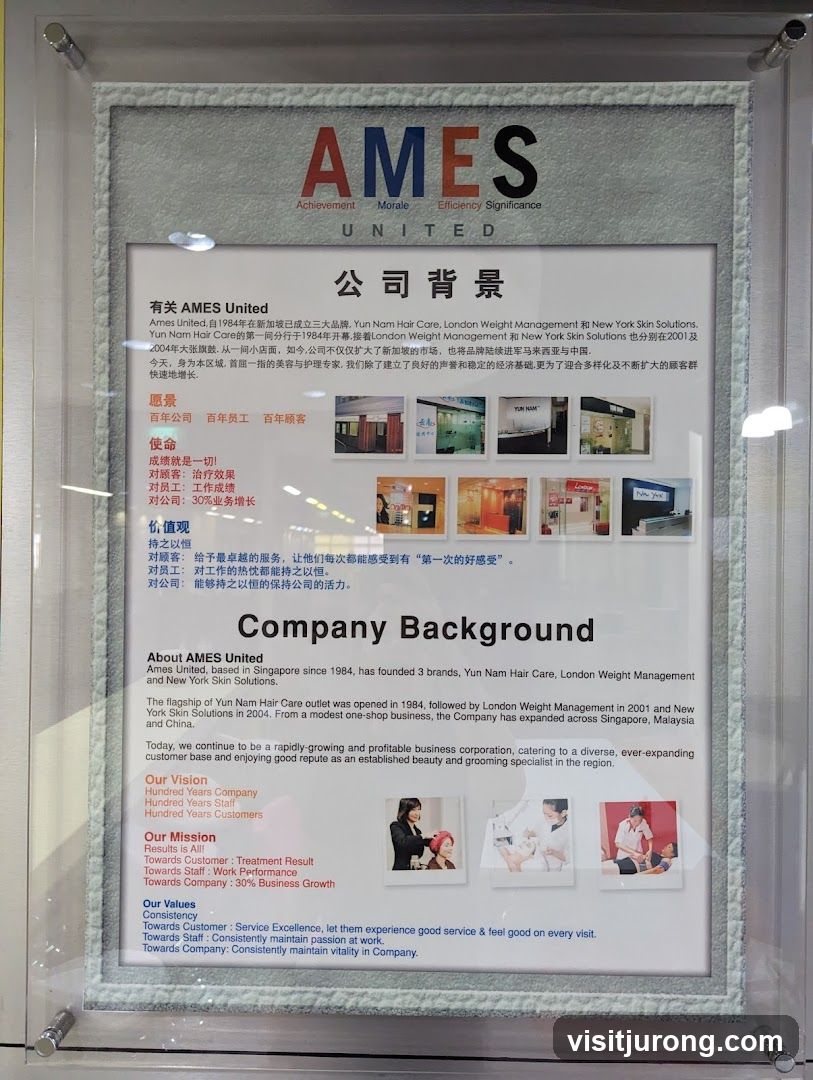 Company Background