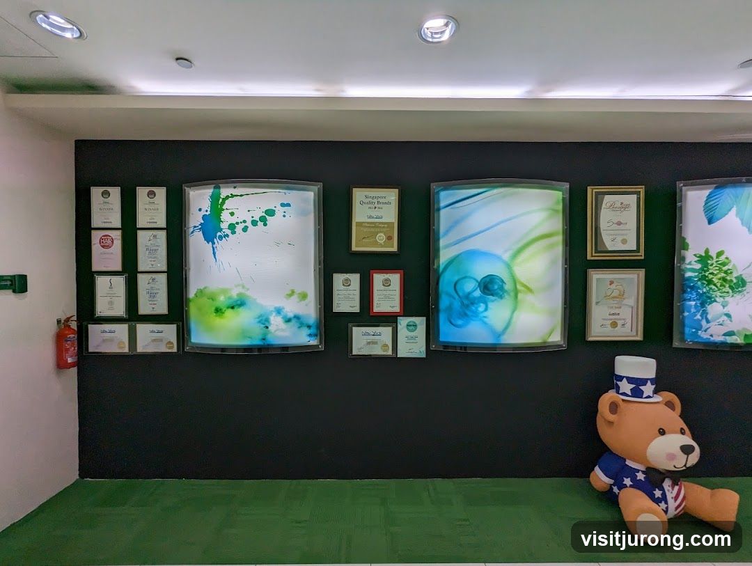 Awards and Decorations Display