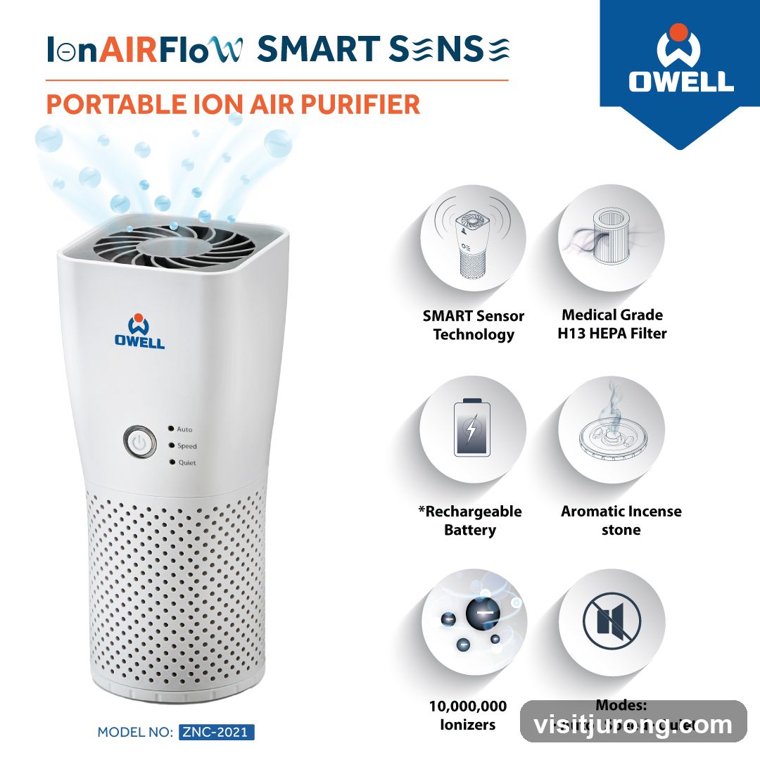 Owell Portable Ion Air Purifier