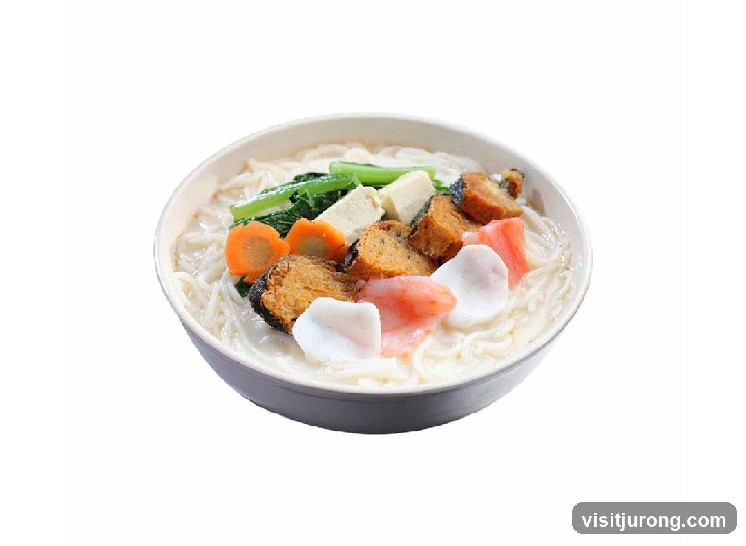 Noodle Soup with Various Toppings