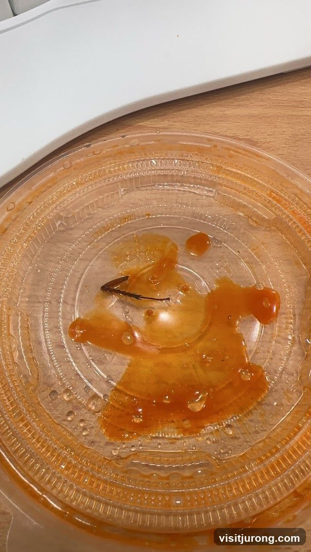 Insect in Sauce
