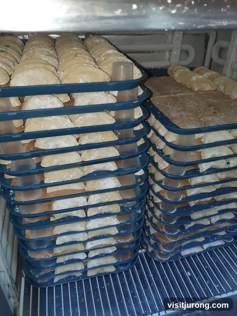 Uncooked Dumplings in a Refrigerator