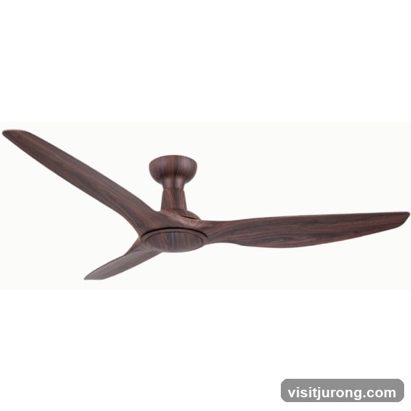 Ceiling Fan