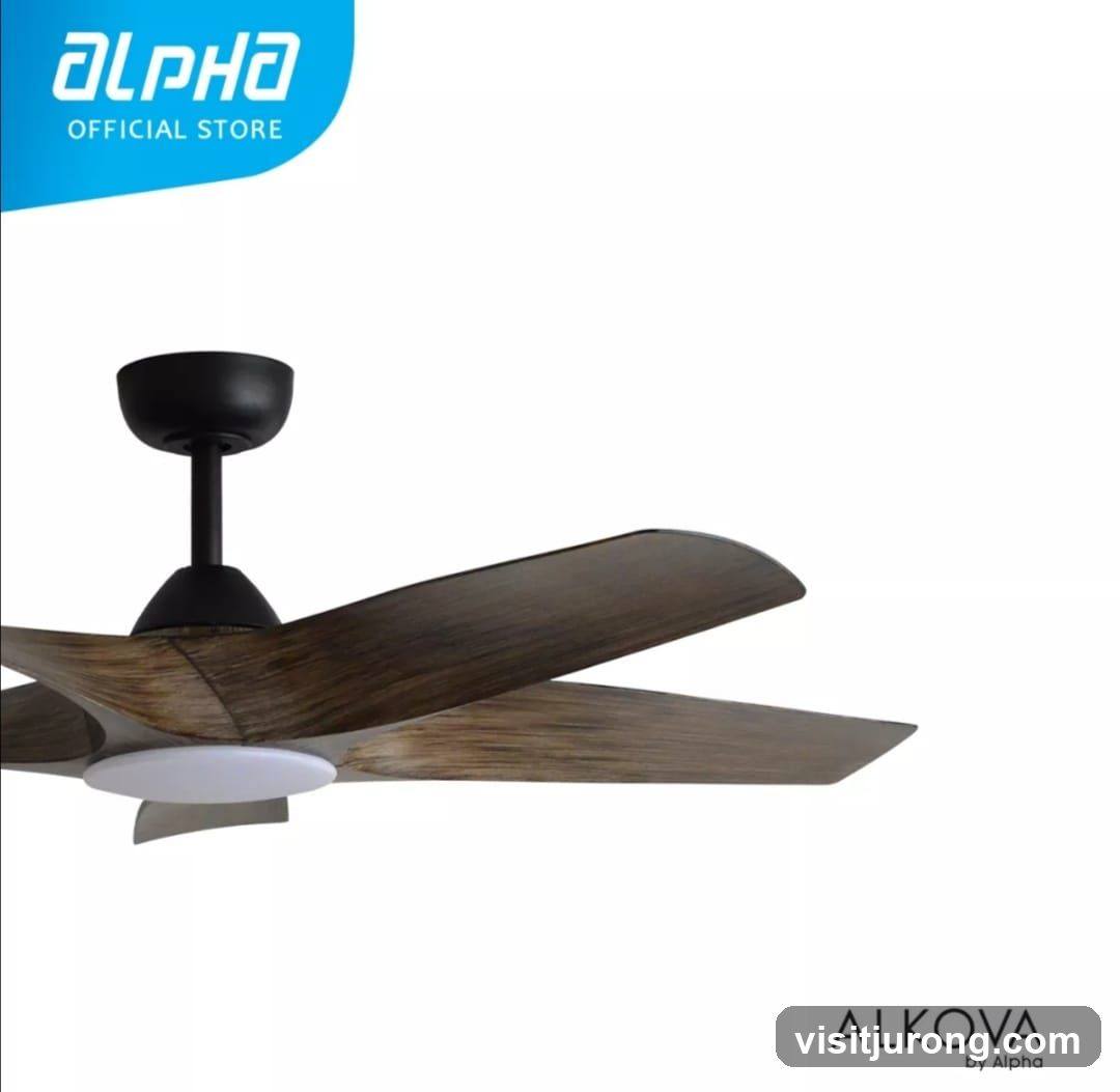 Ceiling Fan