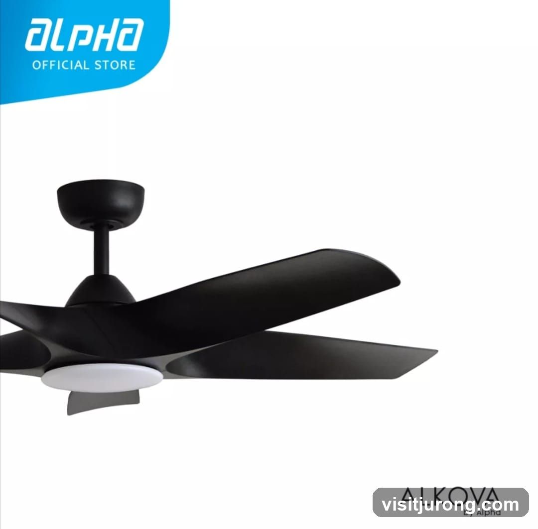Black Ceiling Fan