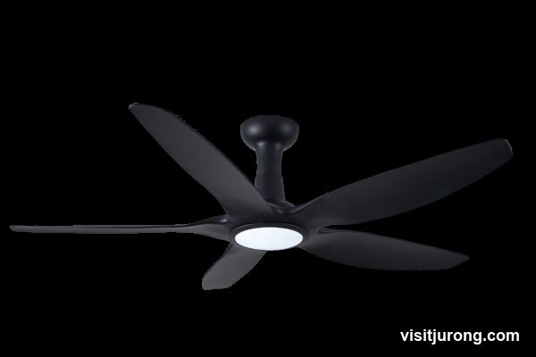 Black Ceiling Fan with Light