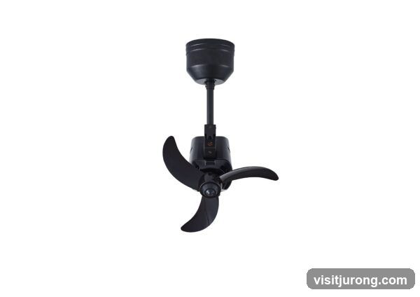 Black Ceiling Fan