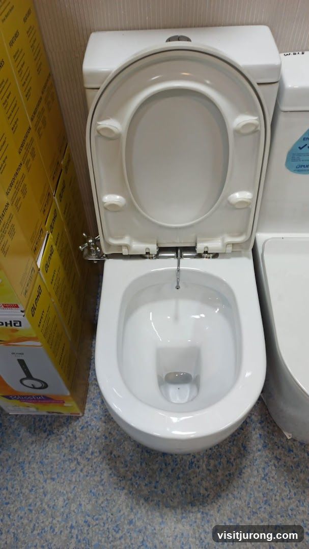 Toilet Bowl Display