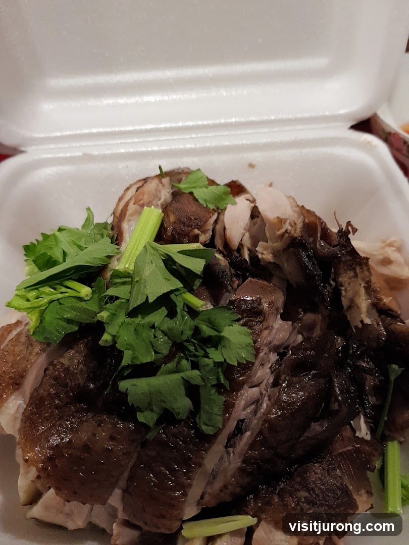 Duck King Teochew Kway Chap (鸭皇)