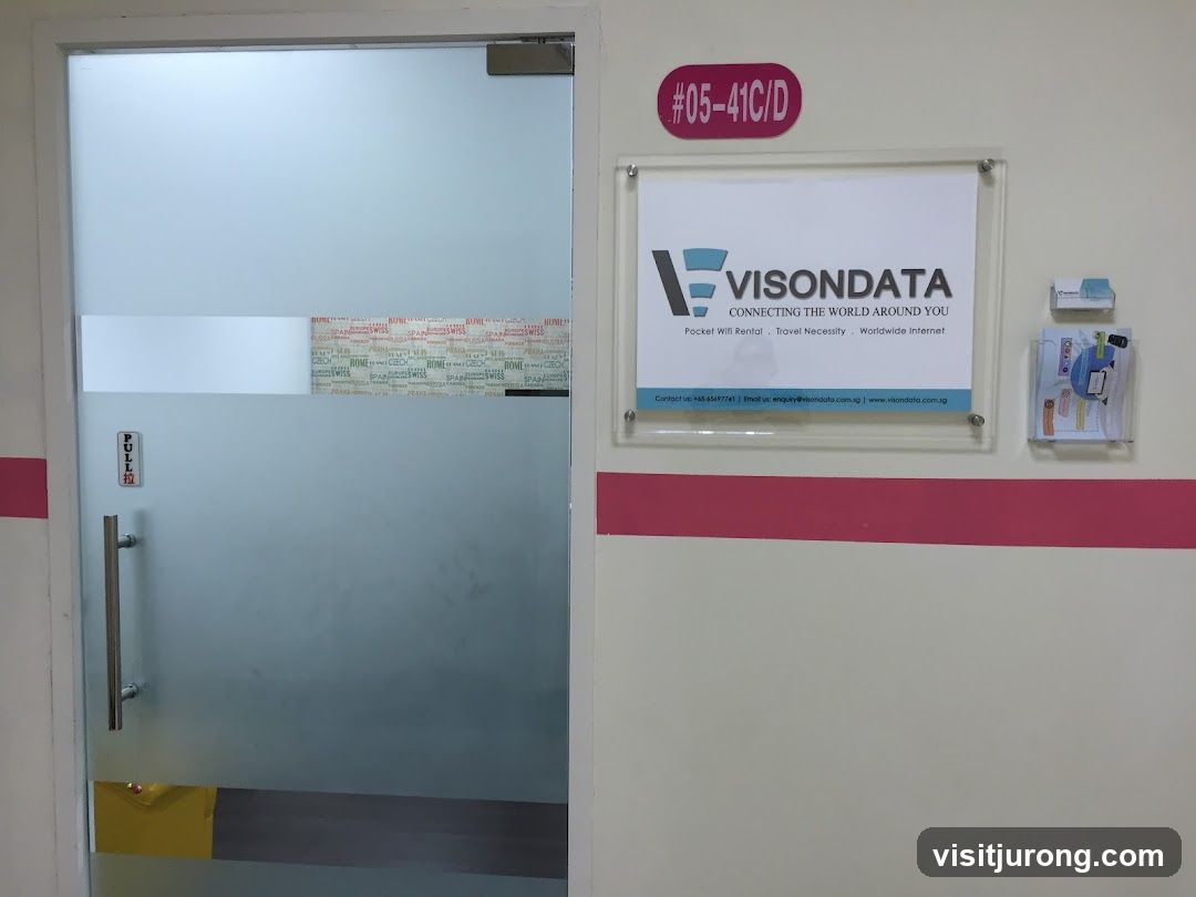 VisonData Singapore