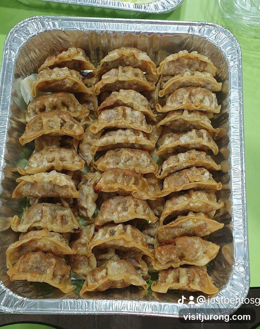 Fried Dumplings