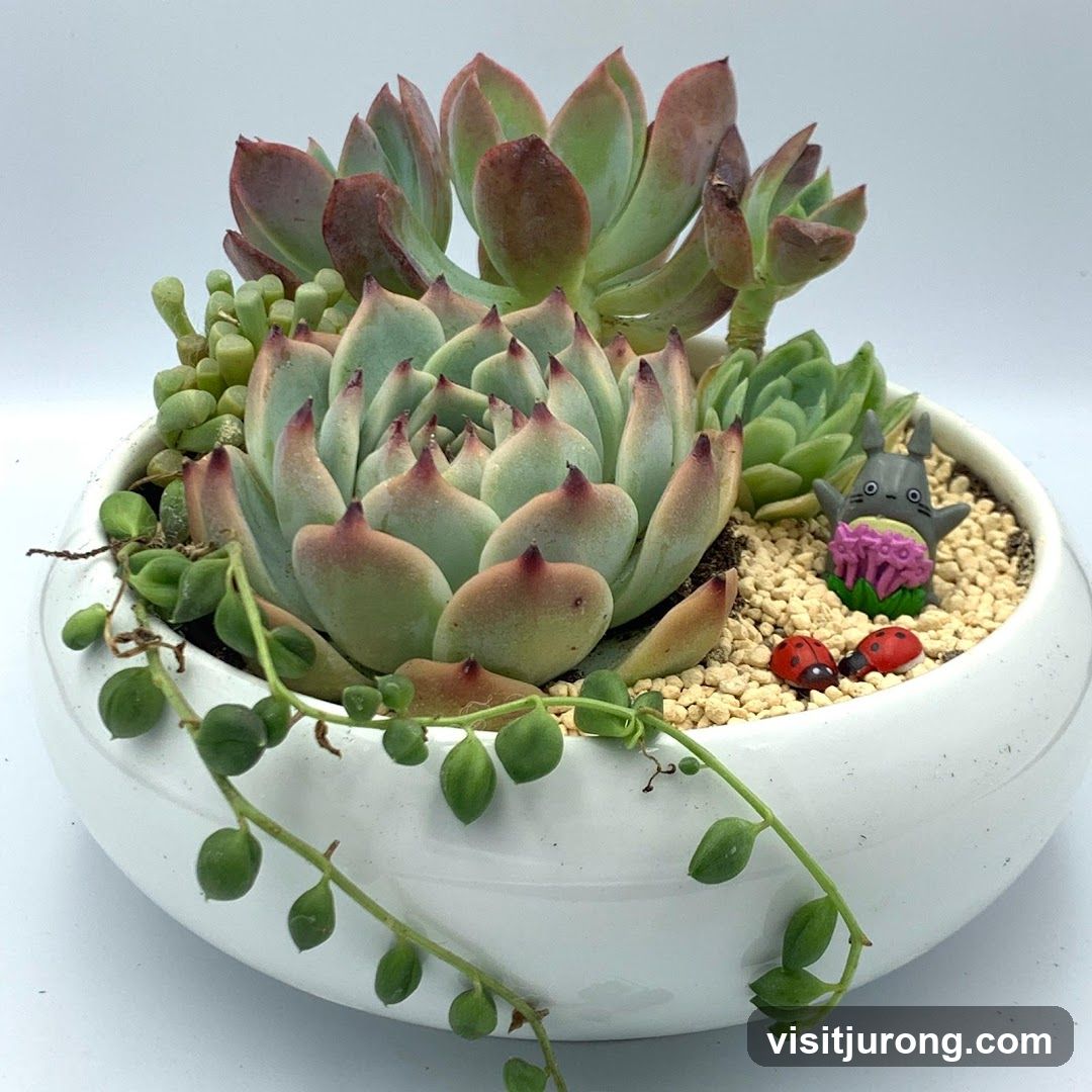 Succulent Arrangement with Figurines