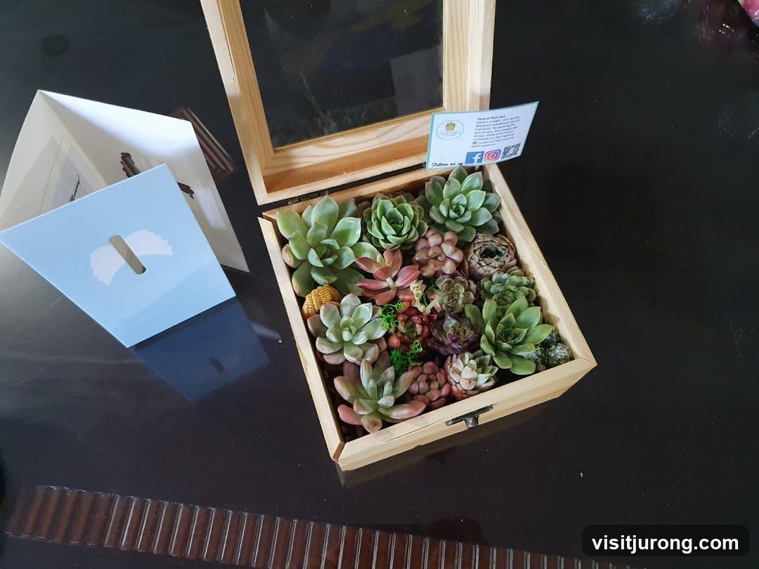 Succulent Arrangement in Wooden Box