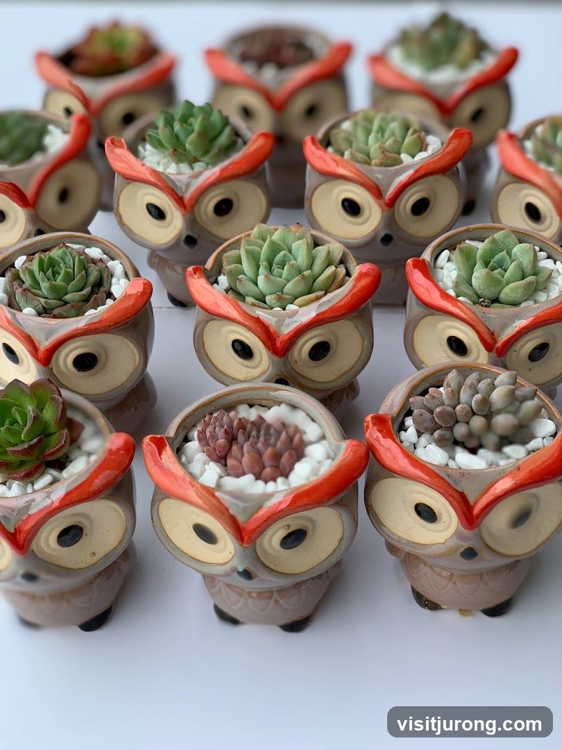 Owl Succulent Planters