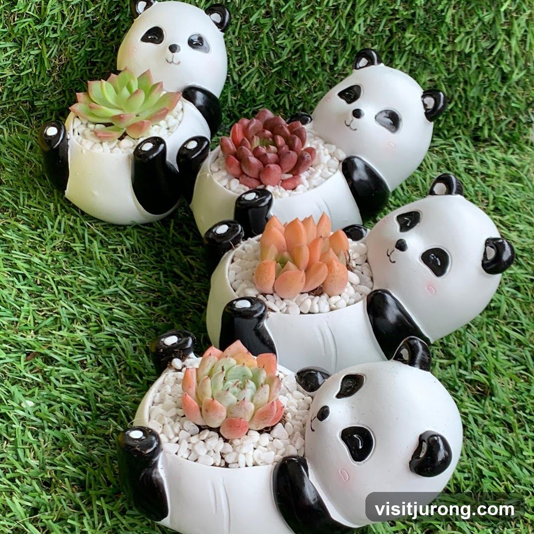 Panda Planters with Succulents