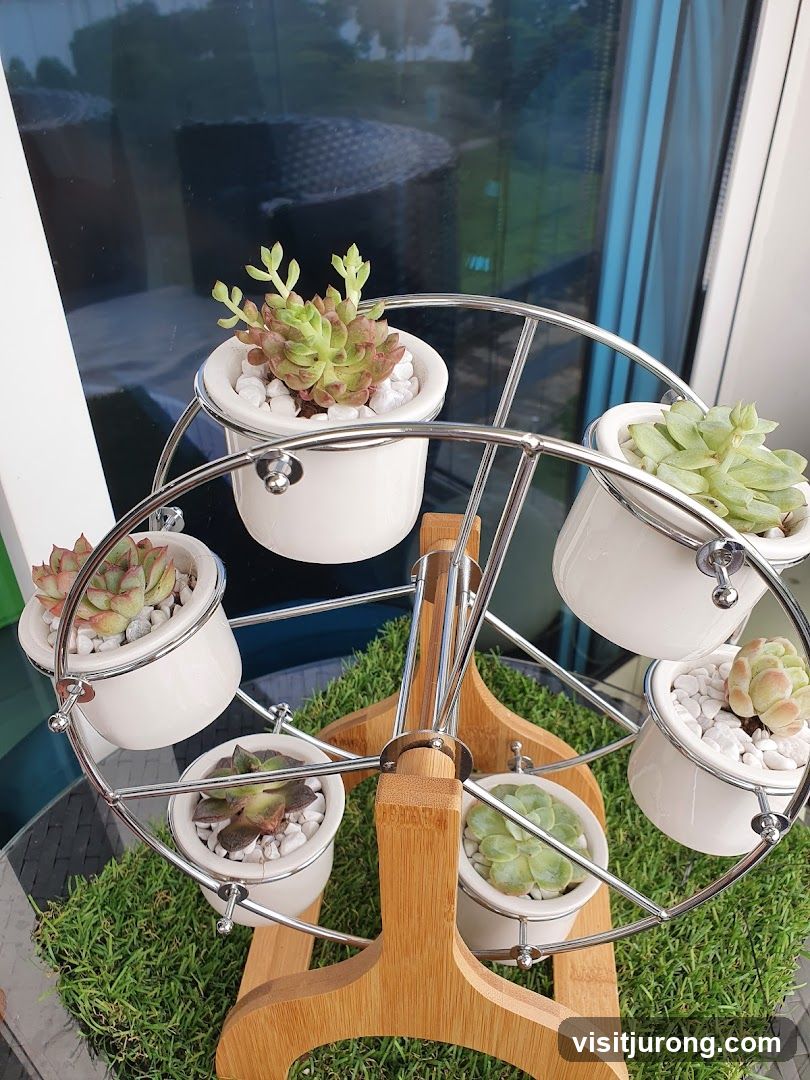 Succulent Ferris Wheel Display