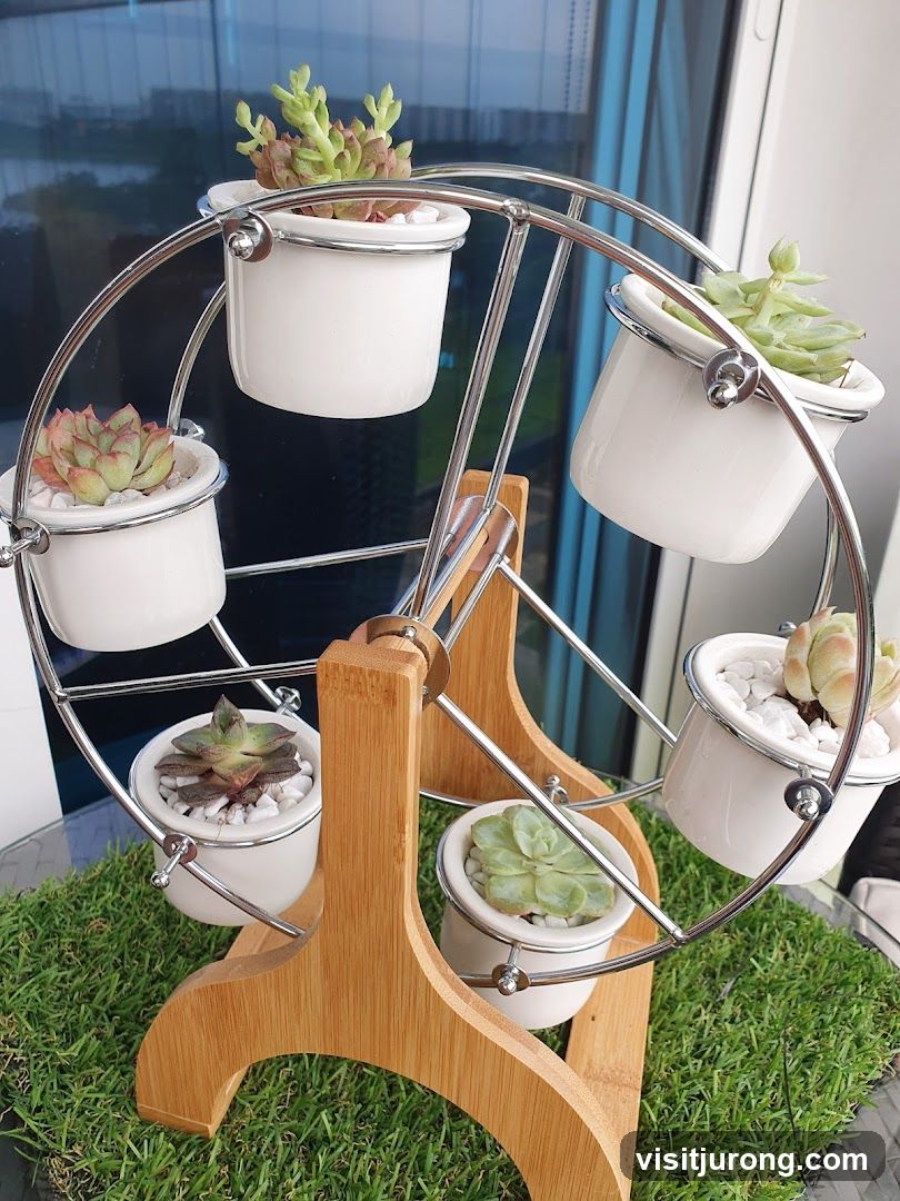 Succulent Ferris Wheel Planter