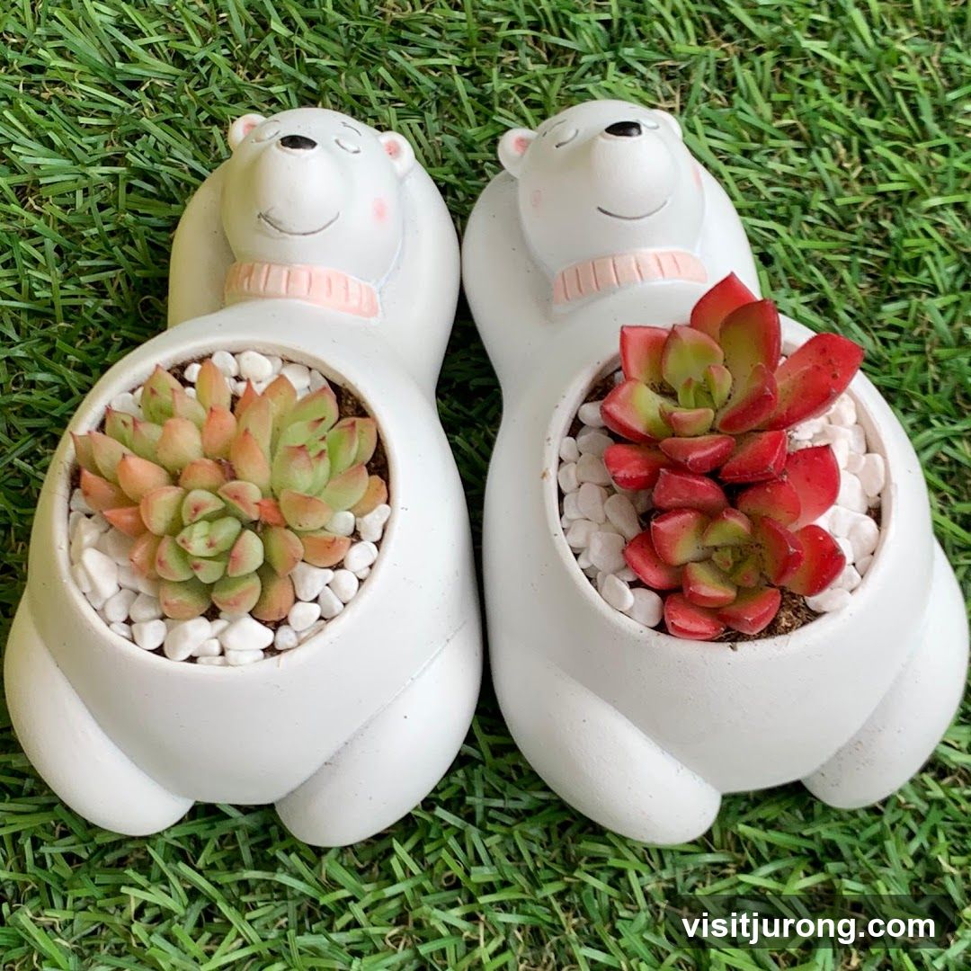 Polar Bear Planters with Succulents