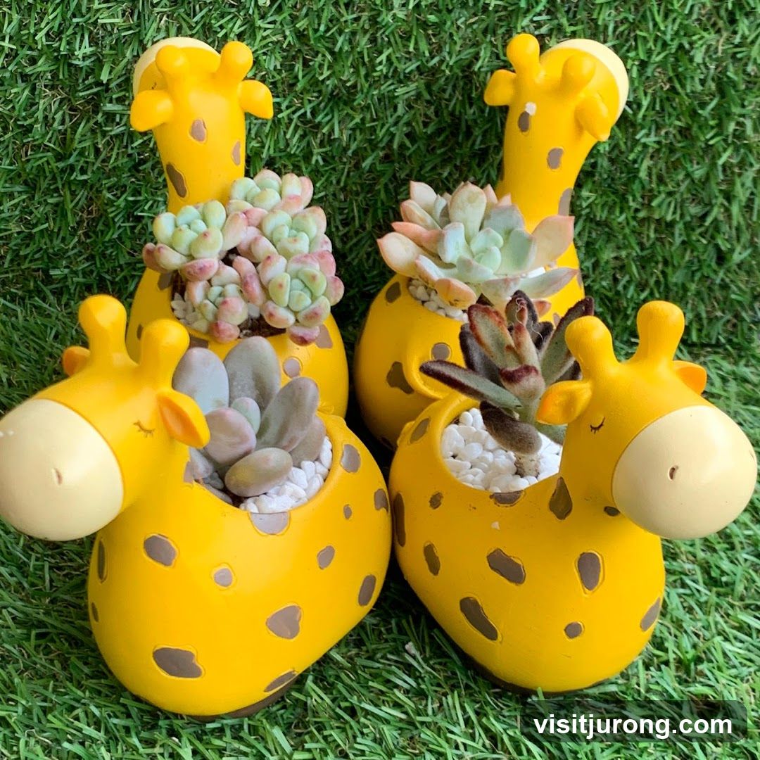 Giraffe Succulent Planters