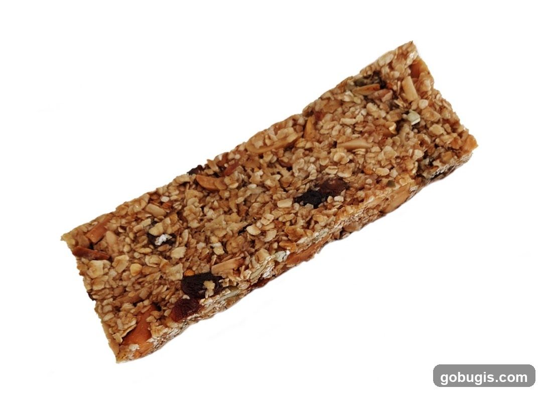 Granola Bar