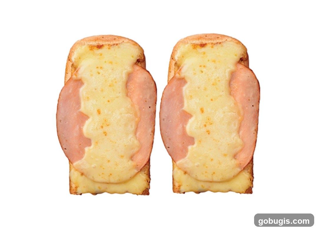 Two Ham and Cheese Toasts