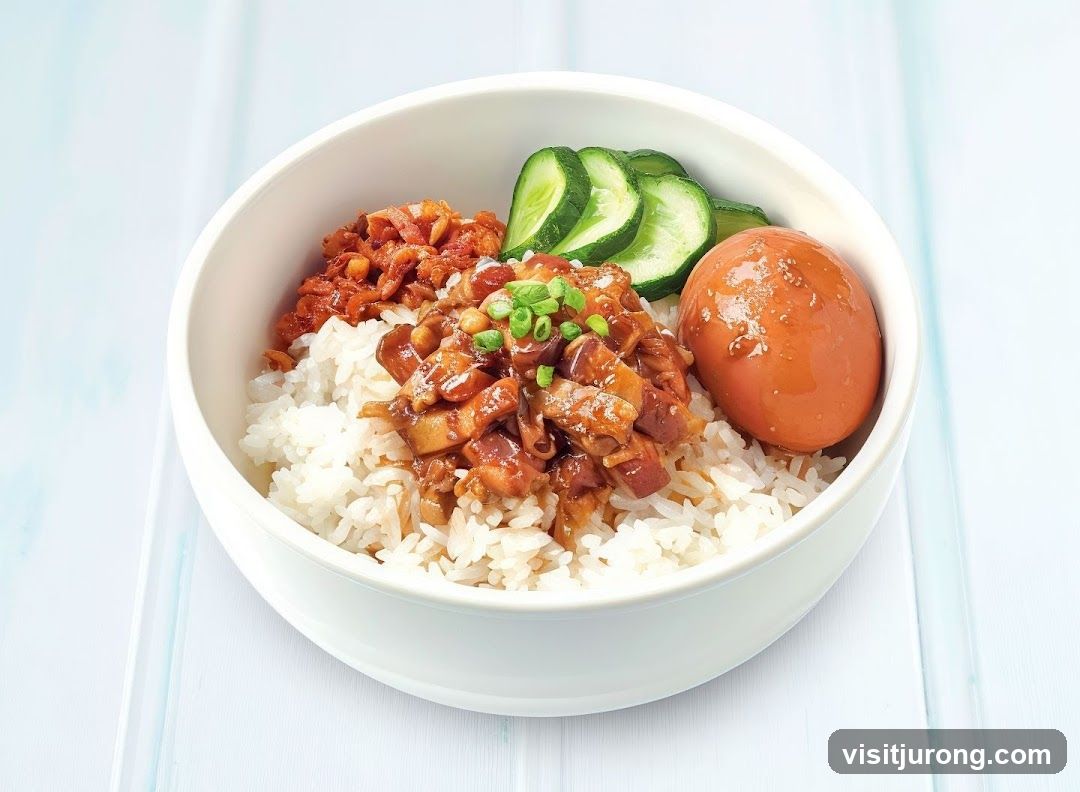 Braised Pork Rice Bowl